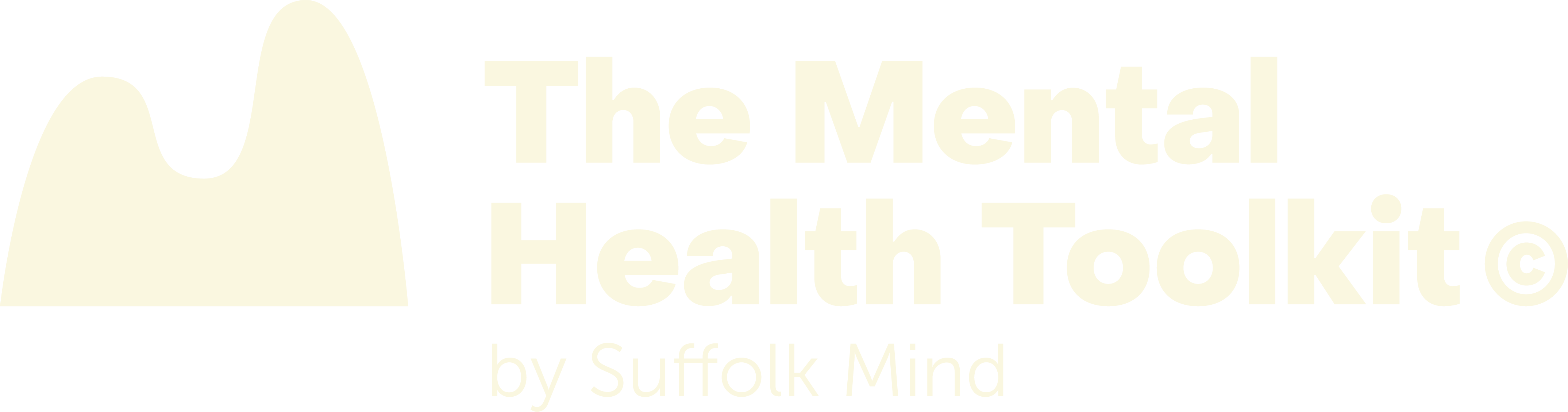 The Mental Health Toolkit